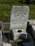 image of grave number 239542